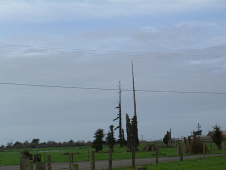 CIMG0222