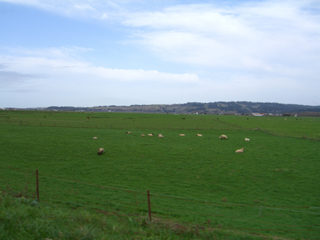 CIMG0226