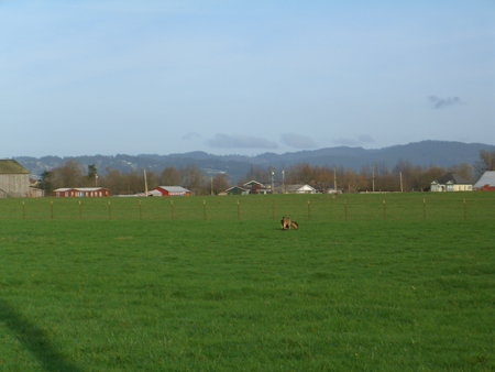 CIMG0281