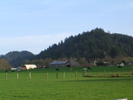CIMG0283