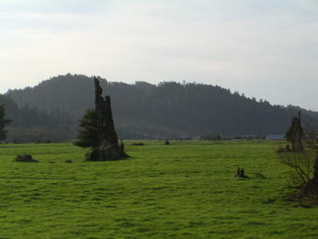 CIMG0291