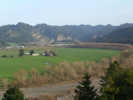 CIMG0309
