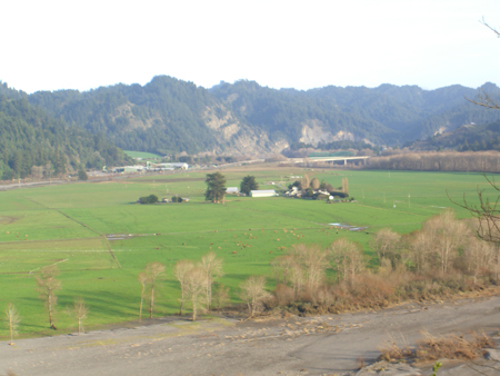CIMG0318