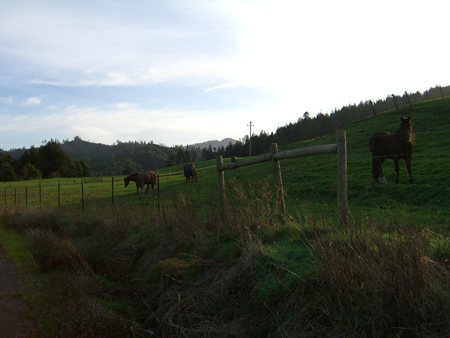 CIMG0319