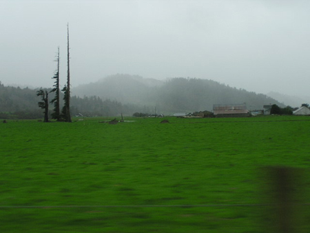 2006-01-01%20145