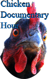 Chicken Documentary Hour