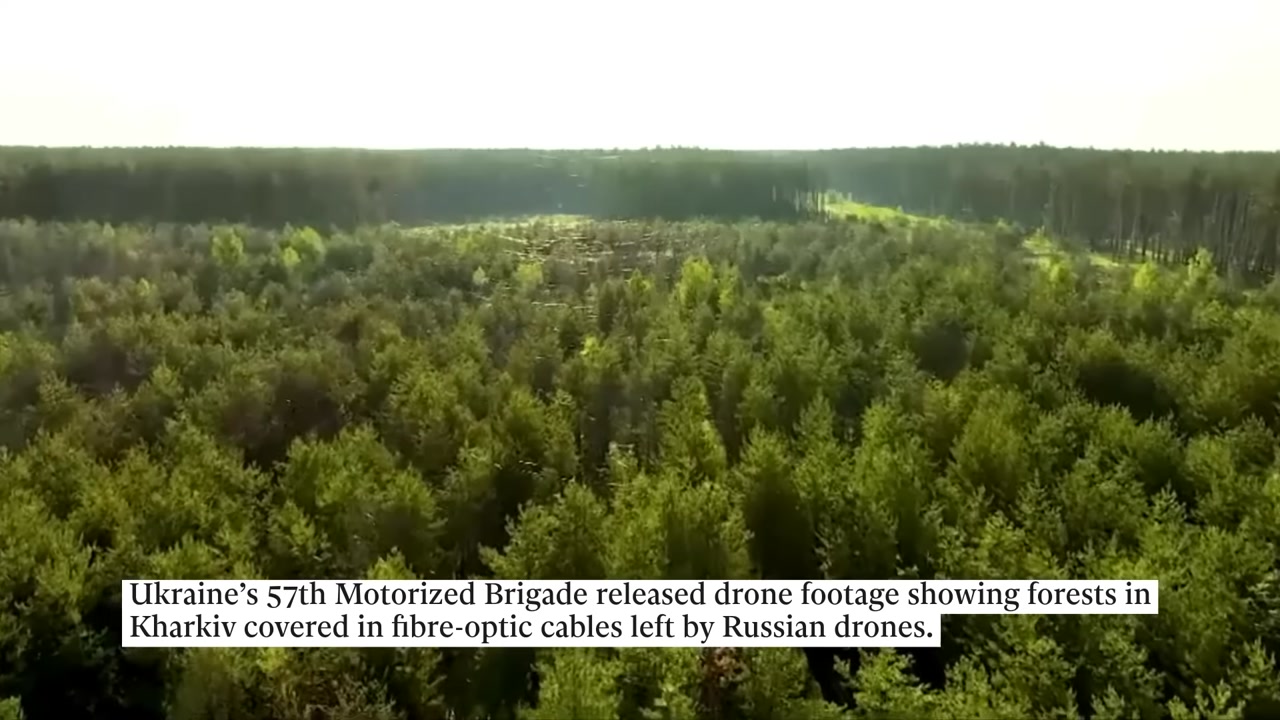 Forest covered in fiber-optic cable (frame)