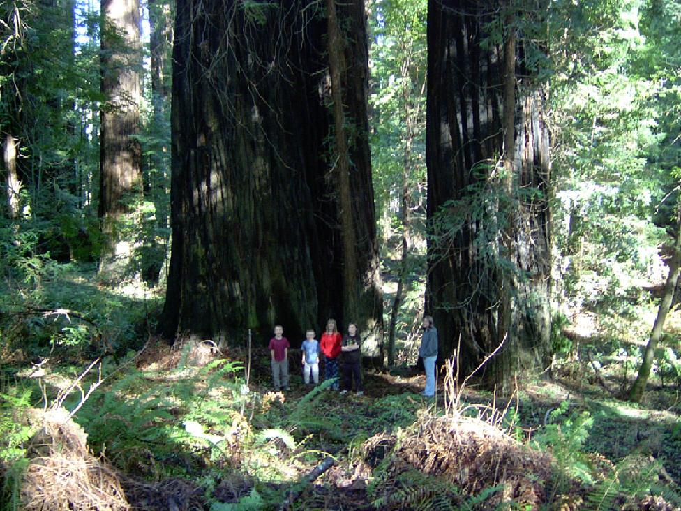 Rio Dell California United States of America Rio Dell California United States of America